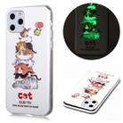 For iPhone 11 Pro Luminous TPU Soft Protective Case(Cats) - 1