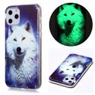 For iPhone 11 Pro Luminous TPU Soft Protective Case(Starry Sky Wolf) - 1