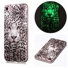 For iPhone SE 2022 / SE 2020 / 8 / 7 Luminous TPU Soft Protective Case(Leopard Tiger) - 1