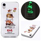 For iPhone XR Luminous TPU Soft Protective Case(Cats) - 1