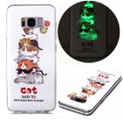 For Samsung Galaxy S8 Luminous TPU Soft Protective Case(Cats) - 1