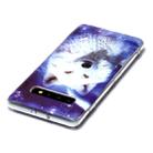 For Samsung Galaxy S10+ Luminous TPU Soft Protective Case(Starry Sky Wolf) - 3