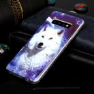 For Samsung Galaxy S10+ Luminous TPU Soft Protective Case(Starry Sky Wolf) - 4