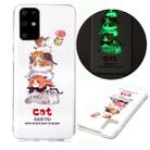 For Samsung Galaxy S20+ Luminous TPU Soft Protective Case(Cats) - 1