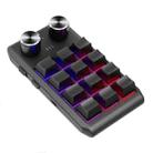 Bluetooth Wireless 12KV2 MOLD Mini Mechanical 12 Keys 2 Knob Custom Programming Keyboard(Black) - 1