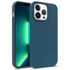 For iPhone 15 Pro TPU Shockproof Phone Case(Blue) - 1