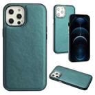 For iPhone 12 Pro Max Leather Texture Full Coverage Phone Case(Green) - 1
