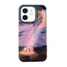 For iPhone 12 Dual-sided Lamination Oil Painting IMD Phone Case(Under The Sun) - 1