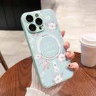 For iPhone 14 Pro Max Secret Garden Painted Silicone MagSafe Phone Case(Mint Green) - 1