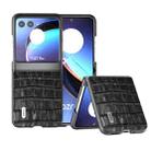 For Motorola Razr 40 Ultra ABEEL Crocodile Texture Genuine Leather Phone Case(Black) - 1