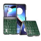 For Motorola Razr 40 Ultra ABEEL Crocodile Texture Genuine Leather Phone Case(Green) - 1