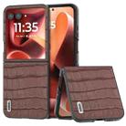 For Motorola Razr 60 Ultra ABEEL Crocodile Texture Genuine Leather Phone Case(Brown) - 1