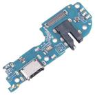 For Realme 11x 5G OEM Charging Port Board - 2
