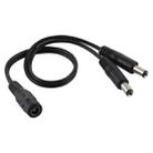 5.5 x 2.1mm 1 to 2 Female to Male Plug DC Power Splitter Adapter Power Cable, Cable Length: 30cm(Black) - 1