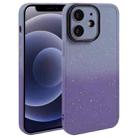 For iPhone 12 Gradient Starry Silicone Phone Case with Lens Film(Grey Purple) - 1