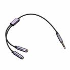 Yesido YAU28 3.5mm Male to Microphone + Audio 3.5mm Female Audio Cable(Black) - 1