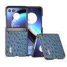 For Motorola Razr 40 Ultra ABEEL Genuine Leather Ostrich Texture Phone Case(Blue) - 1