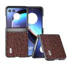 For Motorola Razr 40 Ultra ABEEL Genuine Leather Ostrich Texture Phone Case(Coffee) - 1