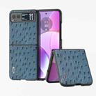 For Motorola Razr 40 ABEEL Genuine Leather Ostrich Texture Phone Case(Blue) - 1