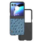 For Motorola Razr 50 ABEEL Genuine Leather Ostrich Texture Phone Case(Blue) - 1