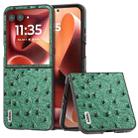 For Motorola Razr 60 Ultra ABEEL Genuine Leather Ostrich Texture Phone Case(Green) - 1