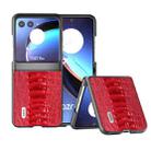 For Motorola Razr 40 Ultra ABEEL Genuine Leather Weilai Series Phone Case(Red) - 1