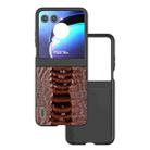 For Motorola Razr 50 ABEEL Genuine Leather Weilai Series Phone Case(Coffee) - 1