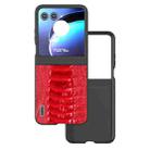 For Motorola Razr 50 ABEEL Genuine Leather Weilai Series Phone Case(Red) - 1