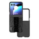 For Motorola Razr 50 ABEEL Genuine Leather Weilai Series Phone Case(Black) - 1