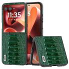 For Motorola Razr 60 Ultra ABEEL Genuine Leather Weilai Series Phone Case(Green) - 1