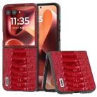 For Motorola Razr 60 Ultra ABEEL Genuine Leather Weilai Series Phone Case(Red) - 1