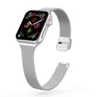 For Apple Watch Series 9&8&7 41mm / SE 3&SE 2&6&SE&5&4 40mm / 3&2&1 38mm Milanese Stainless Steel Watch Band(Silver) - 1