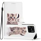 For Xiaomi Redmi 10C Colored Drawing Leather Phone Case(Little Tabby Cat) - 1