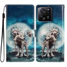 For Xiaomi 13T 5G Colored Drawing Leather Phone Case(Twin Wolves) - 1