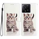 For Xiaomi 13T 5G Colored Drawing Leather Phone Case(Little Tabby Cat) - 1