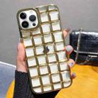 For iPhone 14 Pro 3D Grid Phone Case(Gold) - 1