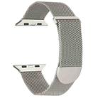 For Apple Watch SE 44mm Milanese Metal Magnetic Watch Band(Starlight) - 1