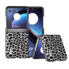 For Motorola Razr 40 Ultra ABEEL Black Edge Leopard Phone Case(Silver Leopard) - 1