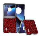 For Motorola Razr 40 Ultra ABEEL Black Edge Leopard Phone Case(Red Leopard) - 1