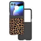 For Motorola Razr 50 ABEEL Black Edge Leopard Phone Case(Leopard Print) - 1