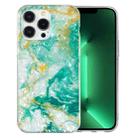 For iPhone 13 Pro IMD Shell Pattern TPU Phone Case(Green Marble) - 1