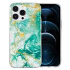 For iPhone 12 Pro IMD Shell Pattern TPU Phone Case(Green Marble) - 1