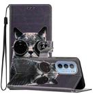 For Motorola Moto G31 / G41 Colored Drawing Leather Phone Case(Sunglasses Cat) - 1