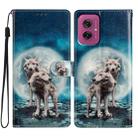 For Motorola Moto G55 Colored Drawing Leather Phone Case(Twin Wolves) - 1