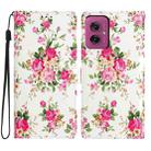 For Motorola Moto G55 Colored Drawing Leather Phone Case(Peonies) - 1