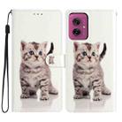 For Motorola Moto G55 Colored Drawing Leather Phone Case(Little Tabby Cat) - 1