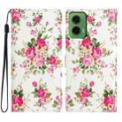 For Motorola Moto G35 Colored Drawing Leather Phone Case(Peonies) - 1