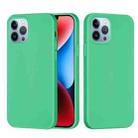 For iPhone 15 Pro Solid Color Silicone Phone Case(Green) - 1