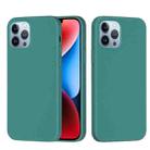 For iPhone 15 Pro Solid Color Silicone Phone Case(Pine Needle Green) - 1