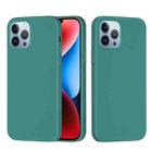 For iPhone 15 Pro Max Solid Color Silicone Phone Case(Pine Needle Green) - 1